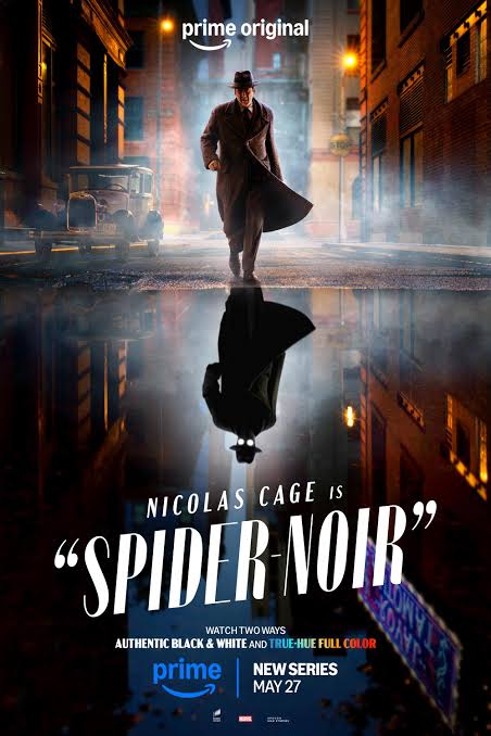 Spider noir