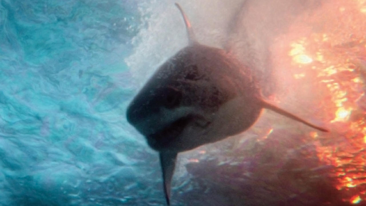 Deep Water