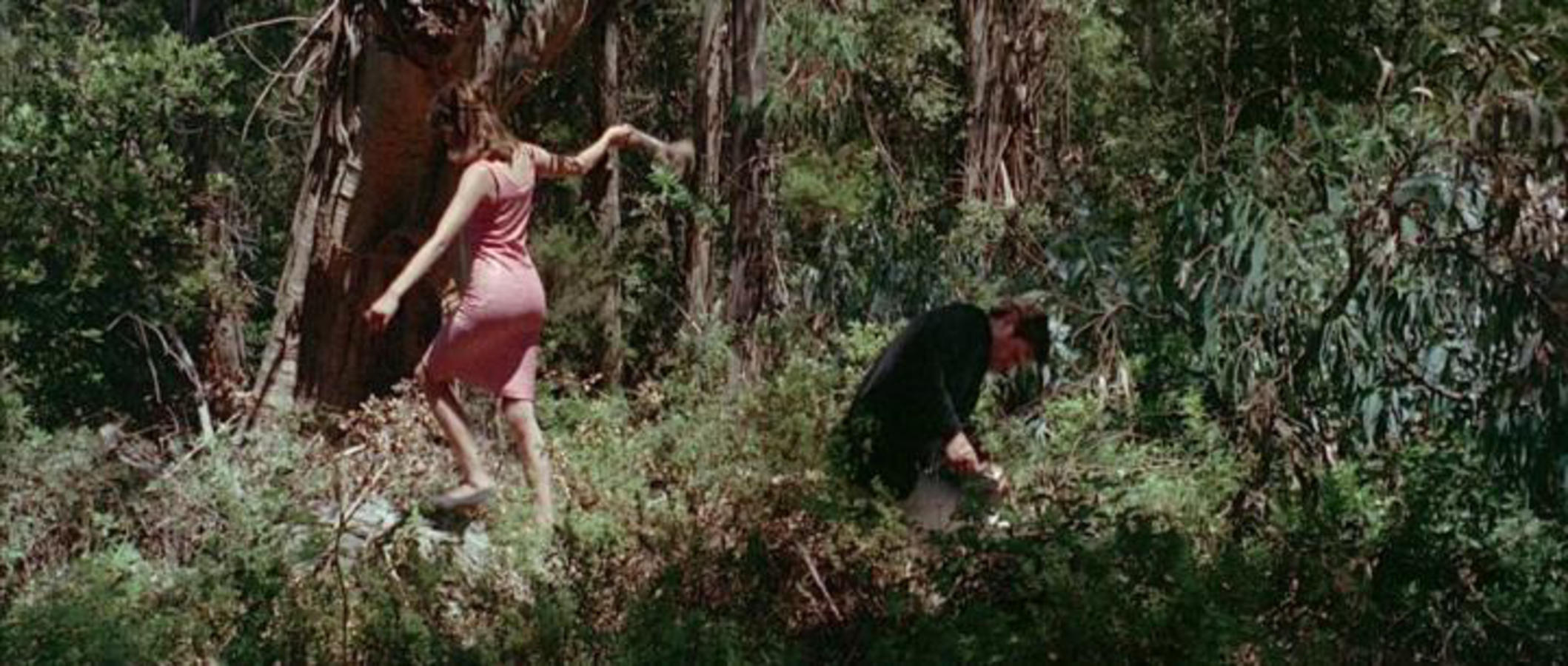 Pierrot le Fou