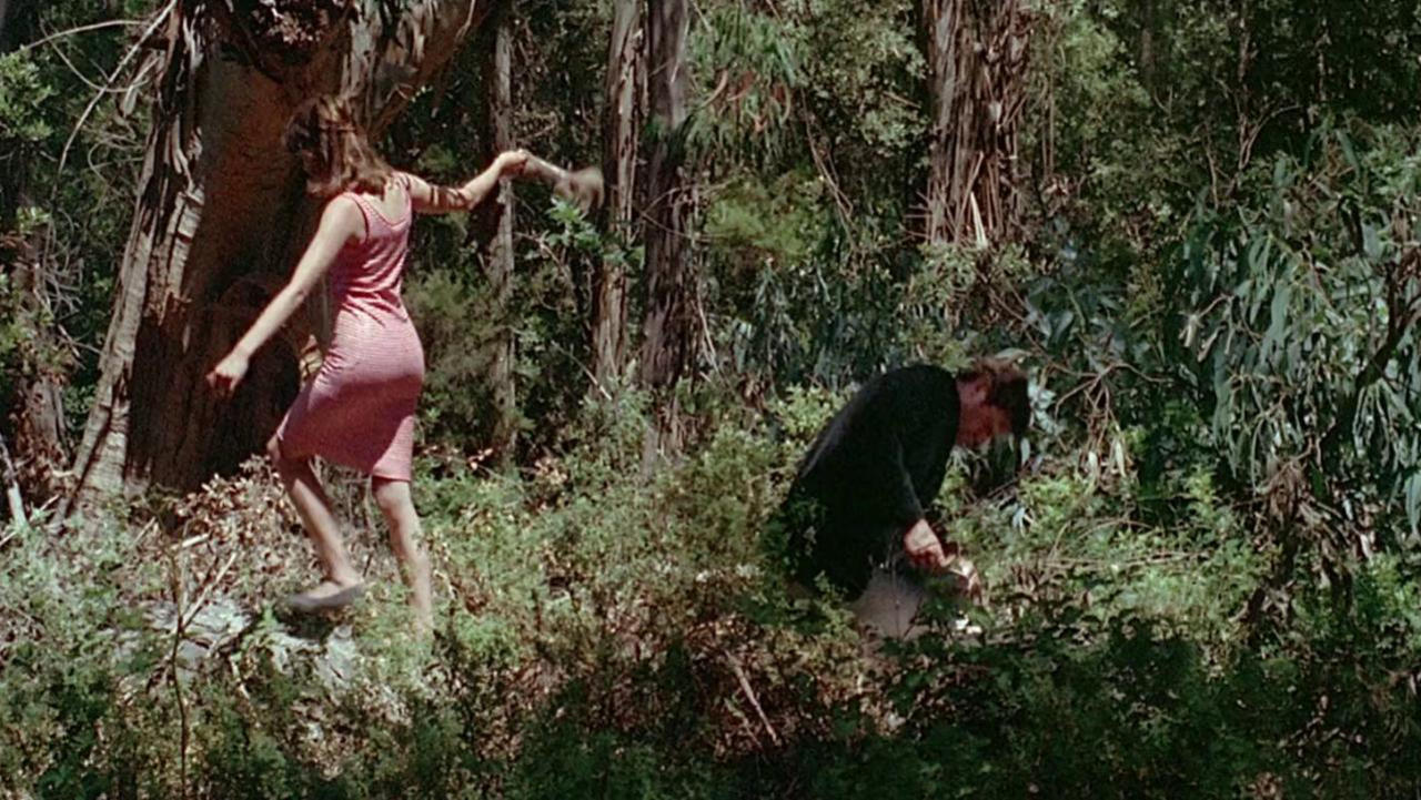 Pierrot le Fou