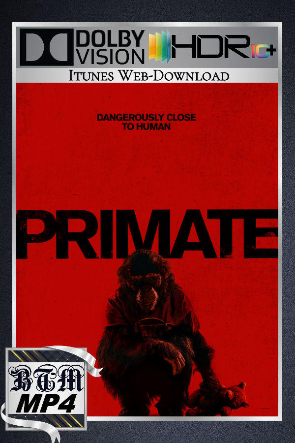 Primate