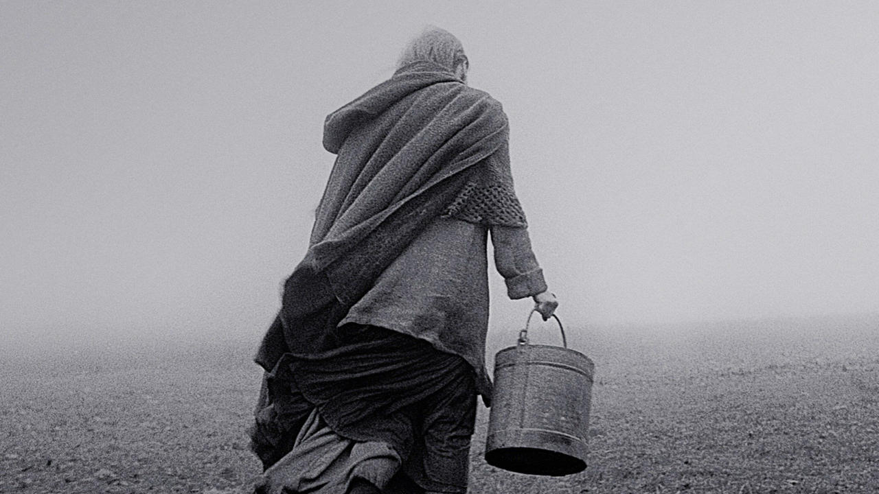 The Turin Horse