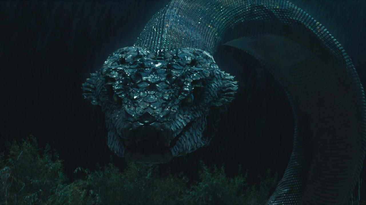 Snakes 5