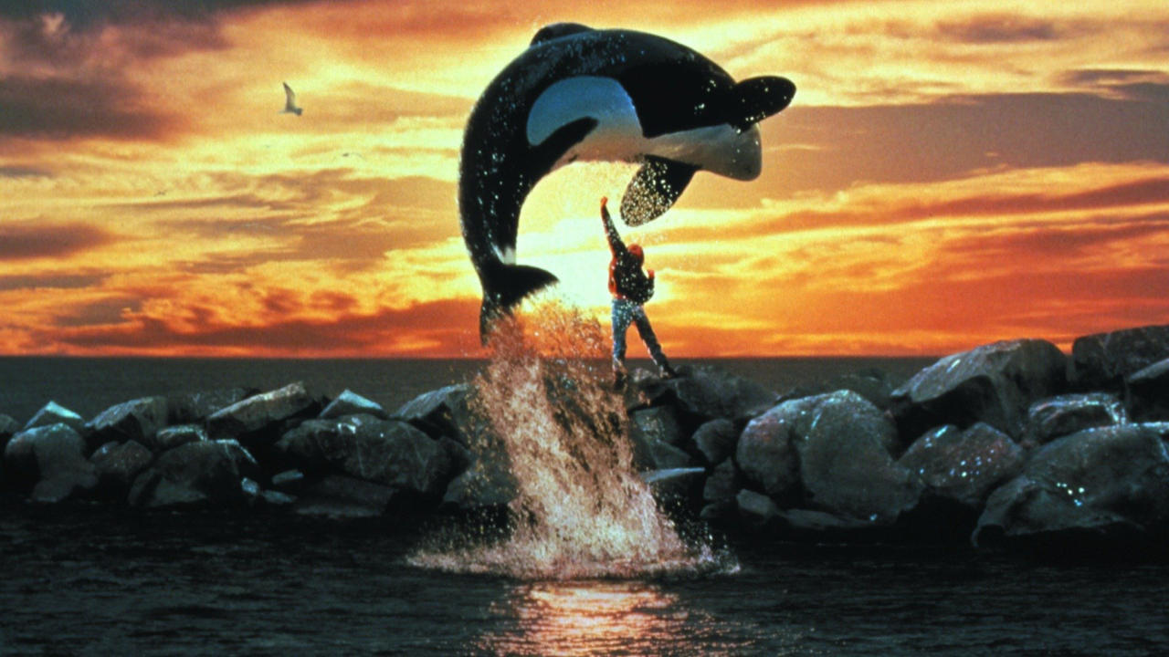 Free Willy