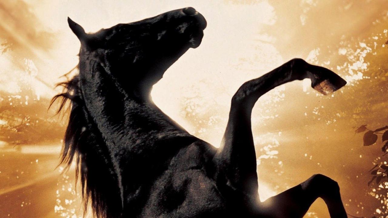 Black Beauty