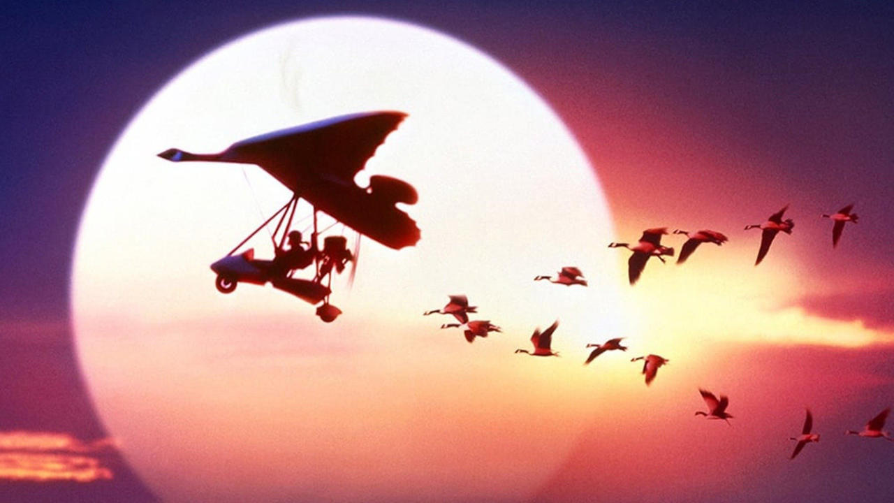 Fly Away Home