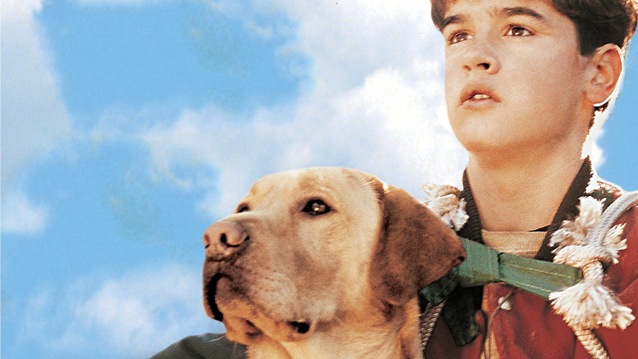 Far from Home: The Adventures of Yellow Dog